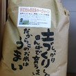 滋賀・草津　ミルキークィーン
