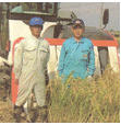 福島・福田さんの無農薬米