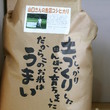 山口さんの魚沼コシヒカリ