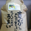 【売切!!】森さんの夢ごこち