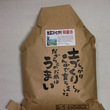 山口さんの魚沼コシヒカリ