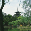 猿沢池