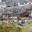 春の桜華殿