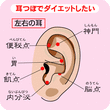 プチ耳つぼ